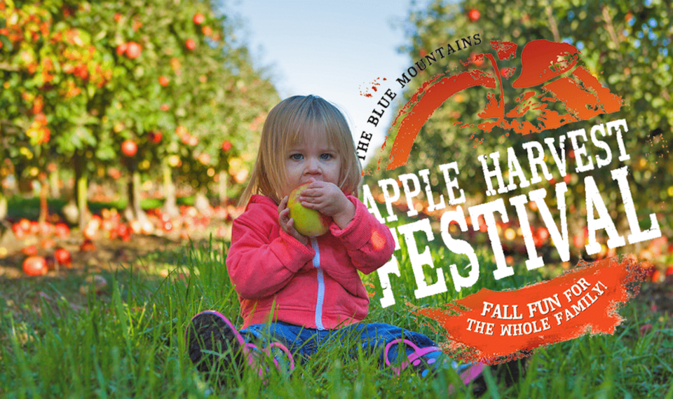 Apple Harvest Festival 2024 Meaford Aileen Maitilde